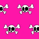 skull n crossbones