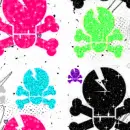 skull n crossbones