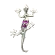 lizard