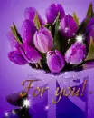 Tulips