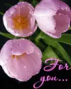 for you