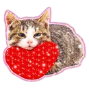 Love Cat