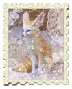 fennec fox stamp