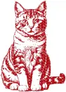 cat