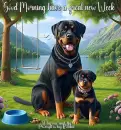 Good Morning!