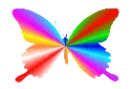 colorful butterfly