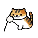 cat playing