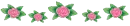 Roses Divider