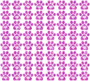 paw print