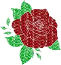 rose