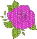 rose