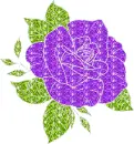 rose