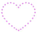 paw prints