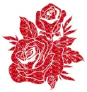 rose