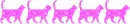 line of cats