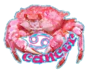 Cancer Zodiac
