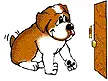 dog and door