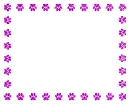 frame with paw prints