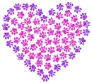 heart with paw prints