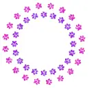 paw prints