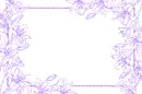 frame with flowers