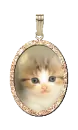 kitty charm