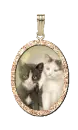 kitties charm