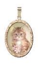 kitty charm