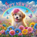 Happy New Week