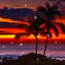 Tropical beach sunset