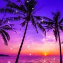 Tropical beach sunset