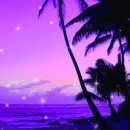 Tropical beach sunset