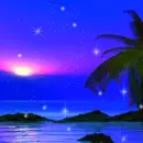 Tropical beach sunset