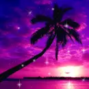 Tropical beach sunset