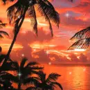 Tropical beach sunset
