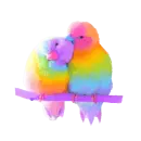 colorful lovebirds