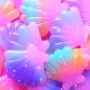 shells