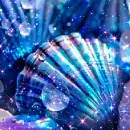 iridescent shells