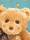 happy bear