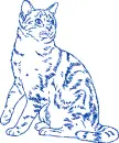 cat