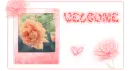 pretty flowers Welcome header