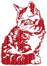 cat