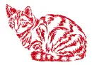 cat