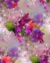 flowers and butterflies