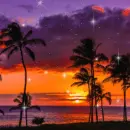 Tropical sunset