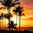 Tropical sunset