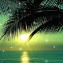 Tropical sunset
