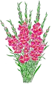 pink flowers