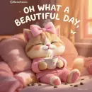 Happy weekend