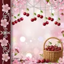  summer  BG